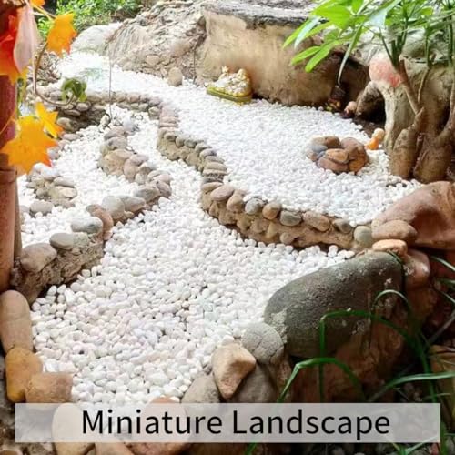 FANTIAN 2 lbs White River Rocks for Plants, 3/8 Inch Gravel Pebbles for Plants. Decorative White Stones for Succulents, Cactus, Vase and Outdoor Garden Landscaping - color: White Gravel