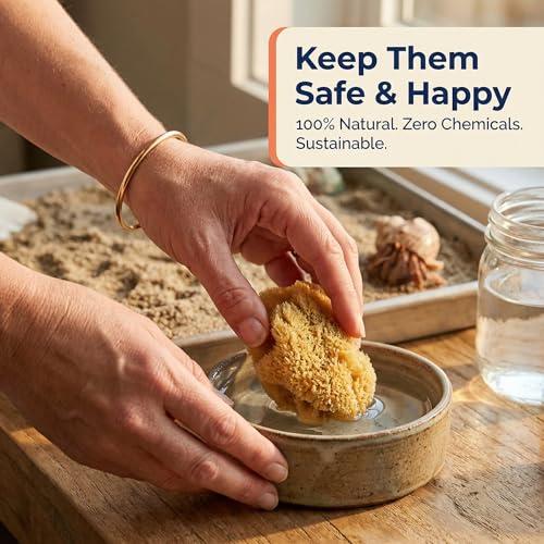 Hermit Crab- All Natural Sea Sponges - 5 Pack Unbleached, Provides Nutrients, Safer Drinking, Helps Maintain Habitat Tank Humidity and Aquarium Decor, Premium Care for Your Crabs