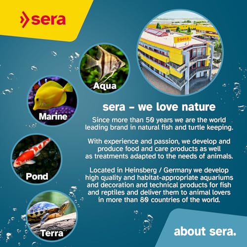 Sera Pleco Chips 13.4 oz./0.84lbs | Premium Fish Food for Ancistrus & Plecos | High Fiber | No Dyes & Preservatives | Supports Digestion & Promotes Healthy Growth | Ideal for Bottom Feeders - size: 13.4 Ounce (Pack of 1)