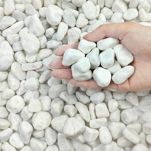 FANTIAN 5 lbs White Pebbles for Indoor Plants, 0.5-1 Inch Pea Gravel Stones for Planters, Decorative River Rocks for Succulent, Cactus, Vases, Aquariums, Crafting and Garden Landscaping - color: White, size: 5 lbs, 0.5-1 Inch