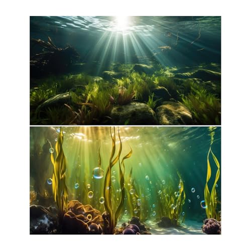 2 Packs Ocean Floor Fish Tank Background Under The Sea Aquatic Plants Sunrays Aquarium Background Underwater Beautiful Coral Reef with Seaweed Bubbles Aquarium Fish Tank Terrarium Backgrounds 24x12in - color: Warm Green, size: 24(W)x12(H)inches/ 60(W)*30c