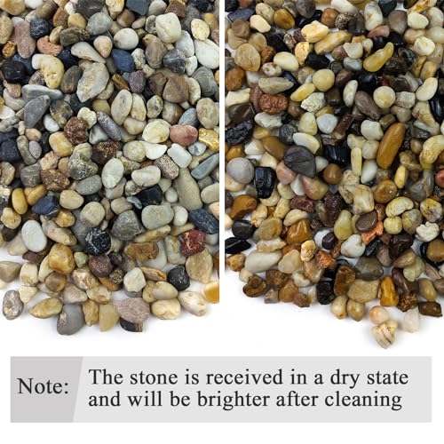 FANTIAN 2 lbs Aquarium Gravel, 2/5 inch Pea Gravel for Fish Tank, Decorative Pebbles River Rocks for Plants Succulent Vase Indoor Water Fountains and Outdoor Landscaping - size: 2/5 Inch