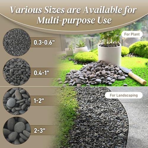 Quibbay 5 lbs Natural Mexican Beach Pebbles, 1-2 Inch Large River Rocks for Plants and Landscaping, Decorative Stone for Fish Tank Aquarium Fountain Garden Paving Walkways Pathways Backyard, Grey - size: 5 Pounds, 1-2 Inch