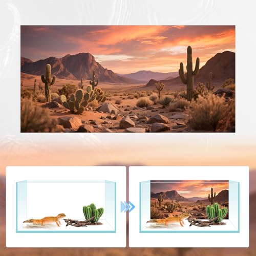 3 Pack Terrarium Background 36x18 inches Polyester Reptile Background，Gobi Sunshine Cactus Stone & Green Tree Fern Stream Terrarium Background - size: 36 x18 inches