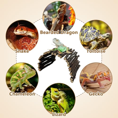 Hamiledyi 3pcs Large Reptile Hides Bearded Dragon Hide Bendable Climbing Bridge Wood Tunnel Tortoise Hut Lizard Hiding Cave for Snake Turtle Gecko Chameleon (15.8" x 7.9")