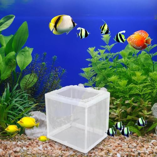 Fish Breeder Box - Fish Isolation Box Mesh Box, Aquarium Breeder Box, Fish Fry Hatchery, Juvenile Separation Net with Suction Cups, Nursery for Guppy Shrimp - color: small