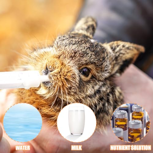 Baby Bird Feeding Syringe Set, Pet Parrot Milk Feeding Syringe with Tubes, Parrot Feeding Tubes Measuring Tools for Feeding Pets Scientific Industrial Labs… (20ml) - color: 20ml