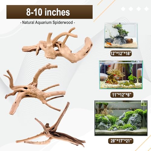 Kaiyuan Dynasty 3Pcs 8-10" Natural Aquarium Spiderwood for Reptile Terrariums Spider Wood Branch for Aquatic Plants Fish Tank Decorations - size: Spiderwood 8 to 10 Inch(Pack of 3)