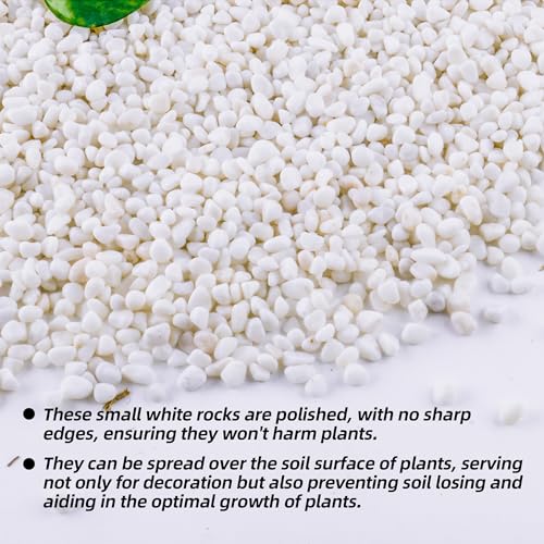 18lb 1/4" Small White Rocks for Plants,Potting,Succulents Aquarium Fish Tank Garden Vases Decorative Pebbles Gravel Rocks Stones - color: white, size: 18lb