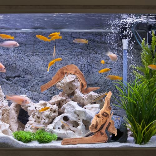 Toddmomy Aquarium Driftwood 4Pc Set 7.48In Natural Fish Tank Wood Decor for Freshwater Aquascaping Betta Fish Hiding Spots and Aquarium Hideouts