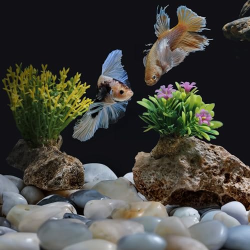 2lbs White Pebbles for Indoor Plants, 1-2Inch Natural River Rocks for Aquarium, High Polished Decorative Stones for Vase Filler Fish Tank Landscaping Garden - color: White, size: 2 Pounds