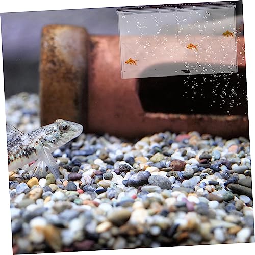 SUPVOX Aquarium Breeding Box Acrylic Isolate Case Multi-Function Incubation Accessory Easy Clean Store