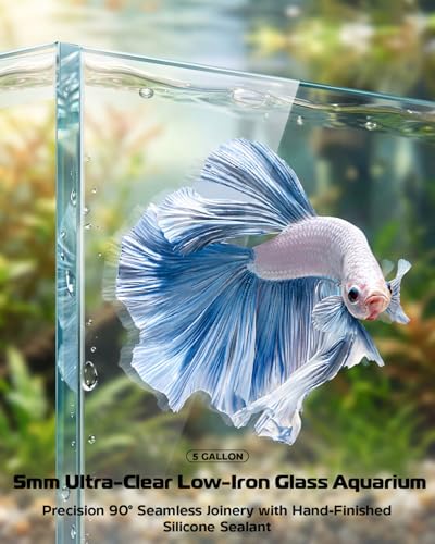 Glass Fish Tank Kit, 5 Gallon Betta Fish Tank Aquarium Starter Kit with Filter, Lights, Lid, for Betta, Goldfish, Small Fish or shrimg，Clear - color: Transparent, size: 5 Gallon