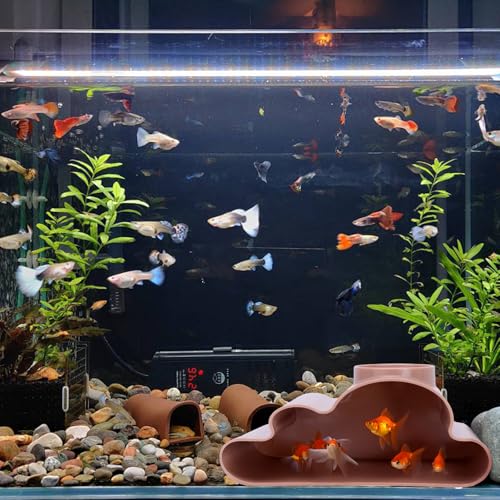Reptile Hide Cave w/Viewing Window – Humid Hideout for Leopard Gecko, Hognose Snake, Corn Snake & Lizards – Tank Accessories, Enrichment Toys, Climbing Decor & Safe Shelter for Reptiles & Amphibians - color: Curve Tunnel Wood