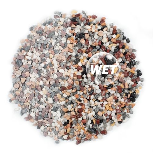 5lbs Natural Gravel Pebbles for Succulents and Cacti, 1/5 Inch Decorative River Stones – Perfect for Vases, Aquariums, Terrariums, and Outdoor Gardening, Mixed Colors (Mixed, 5 Pounds) - color: Mixed, size: 5 Pounds