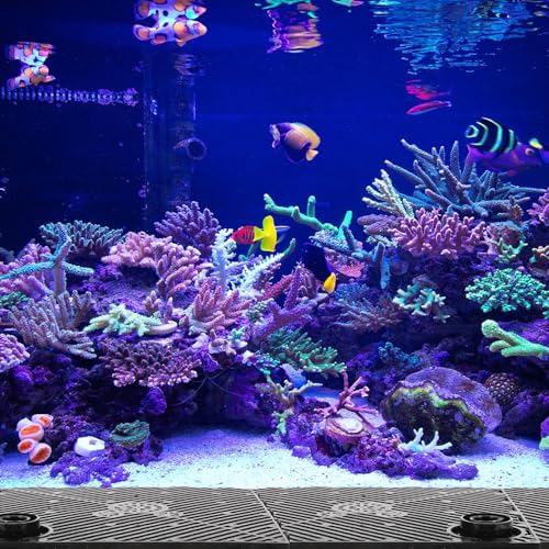 12pcs Aquarium Bottom Divider Filter Boards Black Isolation Plates for Fish Tank Partition Sand Separation Aquarium Filter Accessories