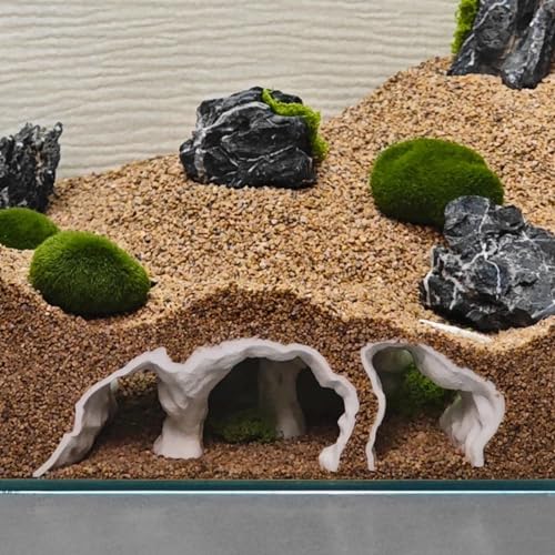 LIYAOLI Aquarium Ornaments Cave Tunnel with Viewing Ports | Fish Tank Decoration Hideout for Pleco, Shrimp & Corydoras | Substrate-Friendly Design & Sinking Base (S - White) - color: S - White