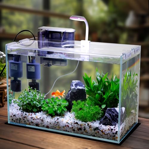 3 Gallon Glass Small Fish Tank, Betta Fish Tank Starter Kit with Filter, Lights,Lid. - size: 3 Gallon