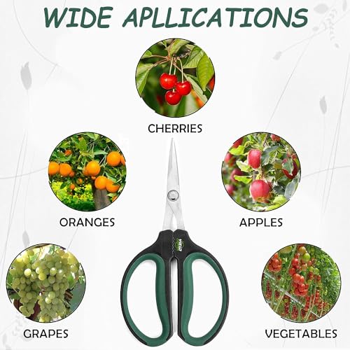 Hydroponic 2-Pack Bonsai Scissors and Plant Trimming Shears Set - Stainless Steel Pruning Shears for Indoor Gardening, Succulent Harvest, and Precision Plant Care