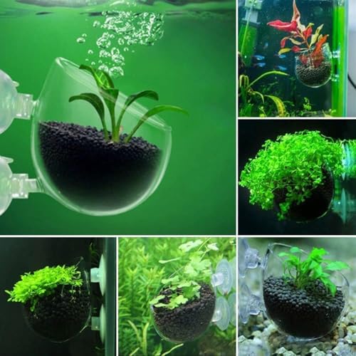 2Pcs Transparent Acrylic Aquatic Plant Cups with Suction - Aquarium Decoration 2 Shapes for Fish Tank Ornament