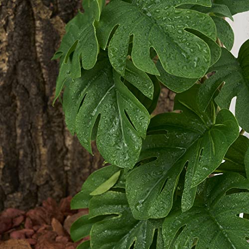2Pack Reptile Fake Plants for Terrarium, Snake Tank Accessories, Habitat Decor Artificial Hanging Plants with Suction Cup - Fake Monstera