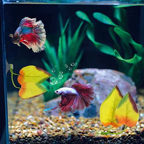 Lpraer Betta Tunnel,Fish Toys with Suction Cups,Safe Hollow Fishs Tank Accessories,Swim Tube Aquarium Decor for Small Fish and Shrimps (Pink Tunnel & 2X beds) - color: Pink Tunnel & 2x Beds