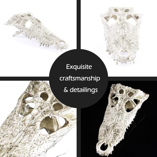 Animal Skull Fish Aquarium Hideout Decorations Cave Dinosaur Reptile Ornament Halloween Décor for Terrarium Large Betta Decor Bones - color: Crocodiles