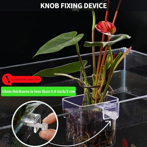 2 PCS Aquarium Plant Holder Top Hanging Fish Tank Plant Pot Aquarium Planter Cups for Water Feature Decoration - color: Square - Clear
