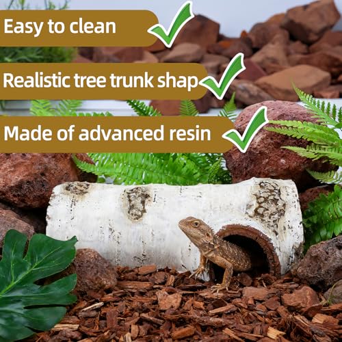 Natural Reptile Hide Basking Platform, Hideout Decor for Aquarium, Fish Tank, Bearded Dragon, Gecko, Shrimp, Betta (Birch Tree Hiding Cave, Small) - color: Birch Tree Hiding Cave, size: Small