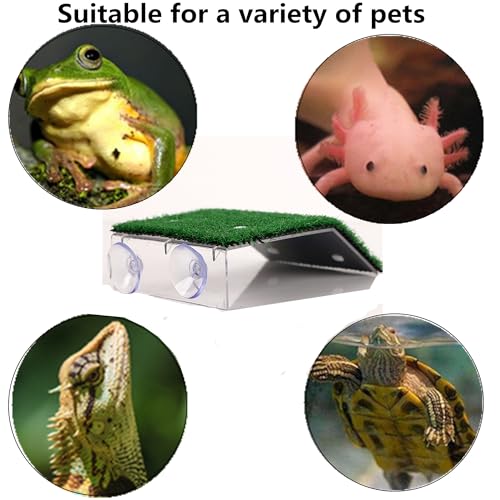 Large Turtle Resting Basking Platform, Simulation Grass Turtle Ramp, Lawn Tortoise Climbing Ladder Resting Terrace, Turtle Tank Accessories Aquarium Floating Décor for Reptile Frog Terrapin Amphibian - size: L