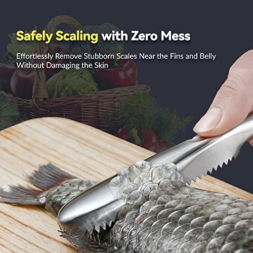 2 Pieces Fish Scaler Tool Stainless Steel Fish Scaler Remover No Mess - Portable Fish Scale Remover Fish Descaler Tool - Reliable Fish Scraper Fish Cleaner Tool for Fish Scaling Cleaning - color: 2 pieces