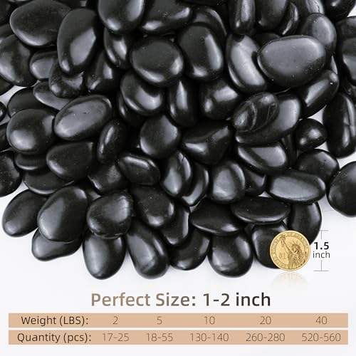 5lbs Black Pebbles for Indoor Plants, 1-2Inch Natural River Rocks for Aquarium, High Polished Decorative Stones for Vase Filler Fish Tank Landscaping Garden - color: Black, size: 5 Pounds