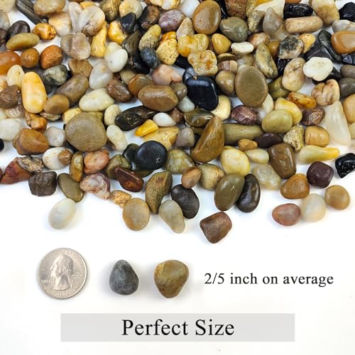 FANTIAN 2 lbs Aquarium Gravel, 2/5 inch Pea Gravel for Fish Tank, Decorative Pebbles River Rocks for Plants Succulent Vase Indoor Water Fountains and Outdoor Landscaping - size: 2/5 Inch
