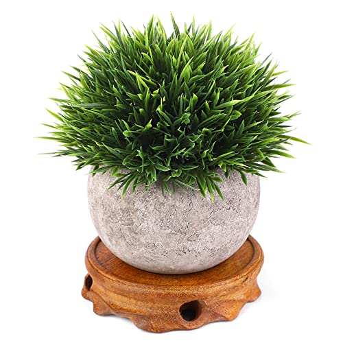 Solid Wood Round Pedestal Wooden Display Stand Vintage Home Decor for Tea Cups Potted Plants Fish Tanks with Retro Style Compact Size 3.5 Inch Inner Diameter (Green Inner Diameter 9 Height - size: Green inner diameter 9 height 2.5 cm