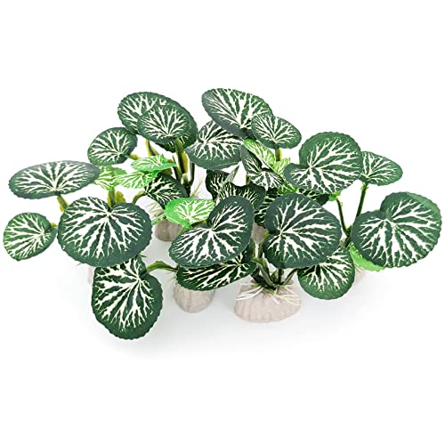 6PCS Aquarium Plants Fish Tank Decorations Betta Silk Plastic Plants for Aquarium Decor - color: C-6pcs Set/Green