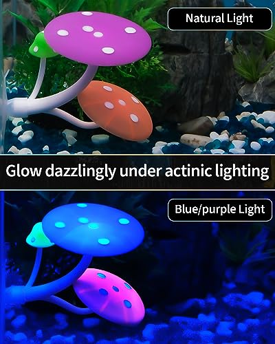 Uniclife Betta Mushroom Hammock Soft Aquarium Rest Bed Fish Breeding Playing Pad with Suction Cup Silicone Ornament Decoration Colorful Lifelike Decor for Fish Tank Landscape, 2 Pack - color: Red&Pink, size: Mushroom Hammock