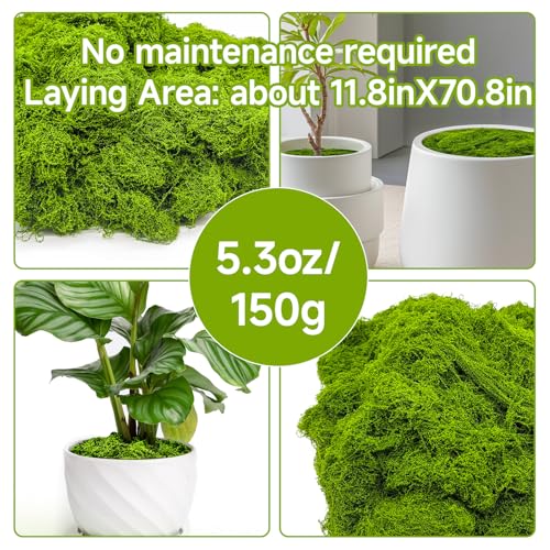 Fake Green Moss for Potted Plants Indoor, 5.3oz Artificial Moss for Crafts, Faux Moss Decor for Fairy Garden, DIY Decorative, Model Making, Walls, Glass Containers, Home - color: Dark Green 5.3oz