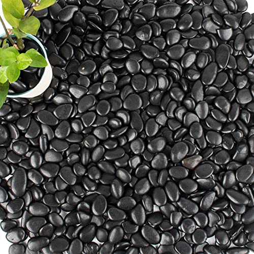 18 lb Natural Polished Black River Rock for Plants, 1/2" Black Pebbles for Aquarium, Vase, Garden Landscape Rocks and Outdoor Decorative Stones - style: Black Stones, black landscape rocks