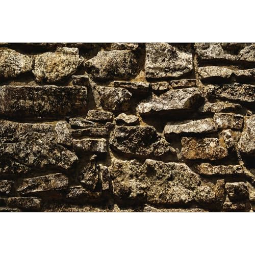 Stone Rock Aquarium Background Vintage Retro Rock Fish Tank Background Natural Rocky Terrarium Background for Tank Background Poster Decorations Retro Rock Reptile Habitat Background 24x12in - color: Dark_Brown, size: 24(W)x12(H)inches/ 60(W)*30cm(H)