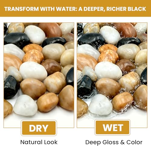 1-2 Inch Polished River Rocks, Decorative Stones for Indoor Plants, Vase Filler, Fish Tank & Aquarium, Garden Landscaping, Mixed, 12LB - color: Mixed, size: 12LB