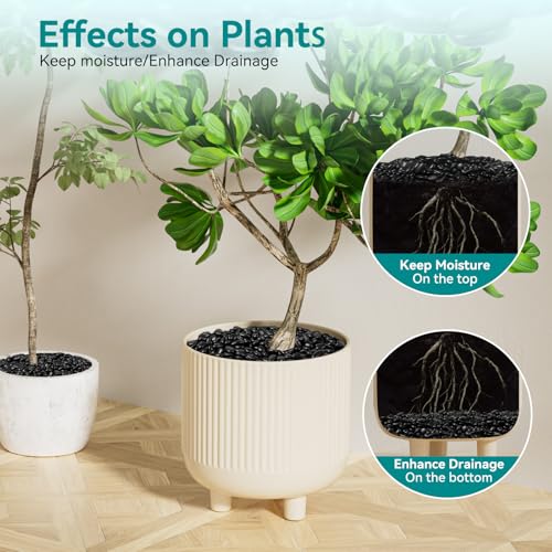 5 lbs Black Pebbles for Indoor Plants, 3/8" Small Rocks for Plants Indoor, Succulent, Bamboo, Vase, Decorative Black River Rocks Pea Gravel, Highly Polished - color: Black