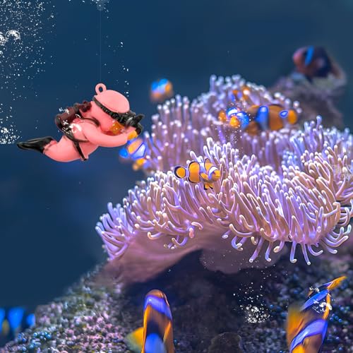 onesimcr Floating Fish Tank Decorations, Aquarium Decorations, Lovely Diver Fish Tank Decorations, Floating Device Fish Tank Accessories，Suitable for All Kinds of Fish Tanks(Pink)… - color: Pink