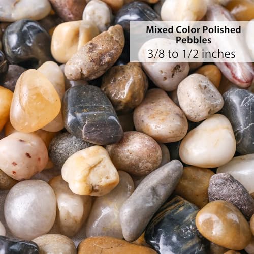 DomeStar River Rocks for Landscaping, 2lb Decorative Ornamental Pebbles Garden Landscaping Stones Gravel for Vases Fish Tank Succulent Potted Indoor Plants Crafts Home Garden Decor