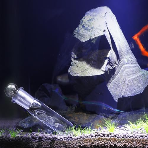 Qualirey 4 Pack Planaria Catch Trap for Aquarium Snail Leech Clear Glass Planaria Trap for Dwarf Shrimp Red Cherry Shrimp Tank(3 Holes) - style: 3 Holes