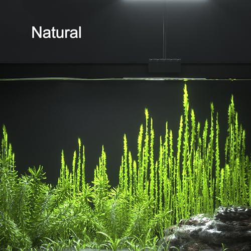Carefree Fish Aquarium LED Light USB 5V1A RGBW 5730 Timmer 1~10Gal Fish Tank Clip Light 10 Brightness Levels 8W with USB Port (Include UL Certification Power Adapter)