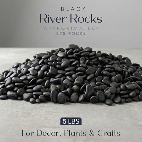 River Rocks Decorative Ornamental Vase Filler 0.5" - 0.75" Black Aquarium Gravel 5 lbs - Landscaping Pebbles for Indoor Plants, Succulents, Terrarium & Home Decor, DIY & Crafting – Royal Imports - size: Small - 5 lbs, style: Black