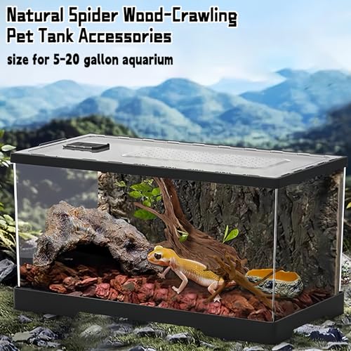Hamiledyi 5PCS Driftwood for Aquarium 7-9in Natural Reptile Spider Wood Assorted Branches Aquarium Decoration Fish Tank Ornament Decor - size: M:Spiderwood 7-9in 5PCS
