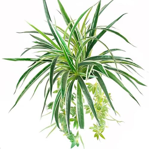 GBESTWOOW Artificial Spider Plant Hanging Vine Fake Greenery for Home Garden Office Wedding Decoreation 2pcs - size: 25 inch