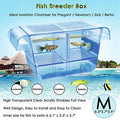Cepetsma Fish Breeder Box - Hang-on Nursery Fish Tank With Breeding Hatchery, Perf for Aggressive & Injured Species - size: M