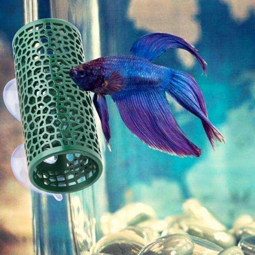 Abizoo Betta Toys - Dark Green Hollow Betta Fish Tunnel & Reptile Hide - Safe Enrichment Aquarium Decor - color: Dark Green